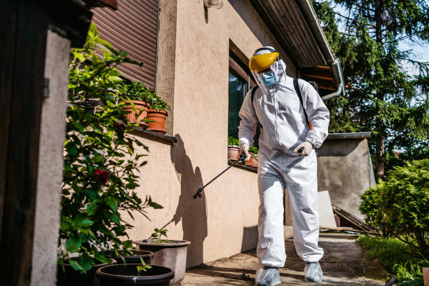 Best Pest Inspection Near Me  in Idyllwild Pine Cove, CA