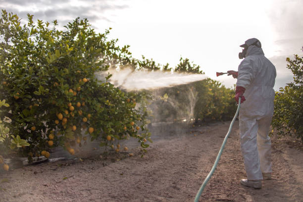 Best Wildlife Control Services  in Idyllwild Pine Cove, CA