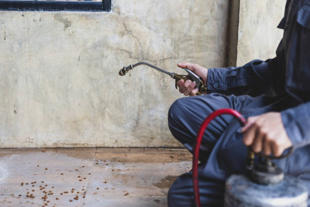 Best Exterminator Services  in Idyllwild Pine Cove, CA